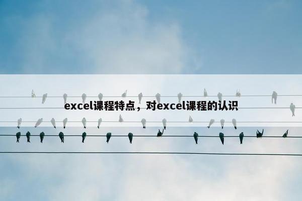 excel课程特点，对excel课程的认识