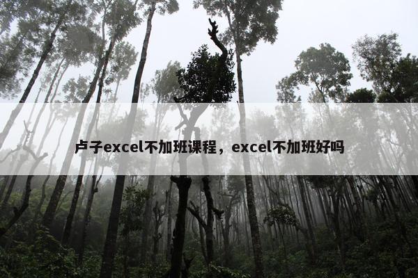 卢子excel不加班课程，excel不加班好吗