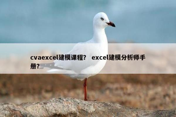 cvaexcel建模课程？ excel建模分析师手册？