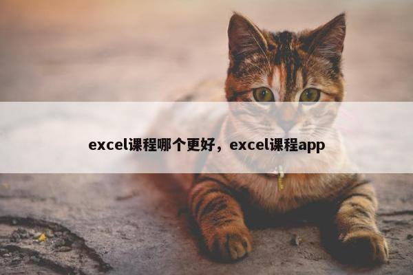 excel课程哪个更好，excel课程app