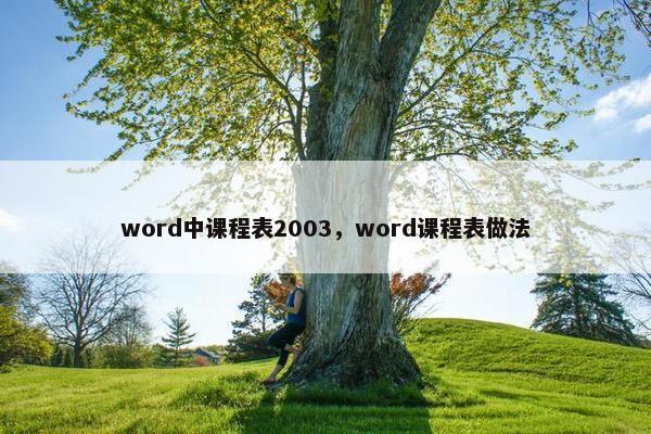 word中课程表2003，word课程表做法