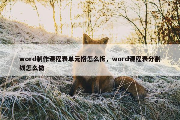 word制作课程表单元格怎么拆，word课程表分割线怎么做