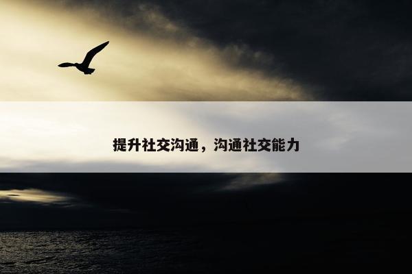 提升社交沟通，沟通社交能力
