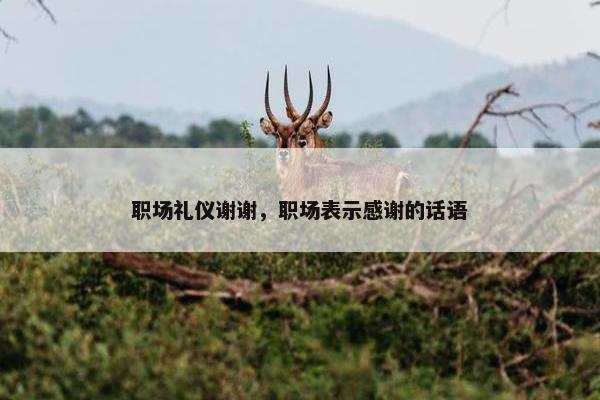 职场礼仪谢谢，职场表示感谢的话语