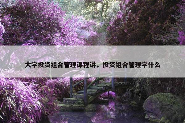 大学投资组合管理课程讲，投资组合管理学什么