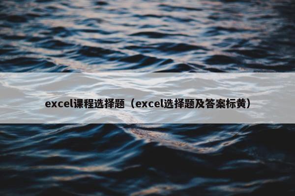excel课程选择题（excel选择题及答案标黄）