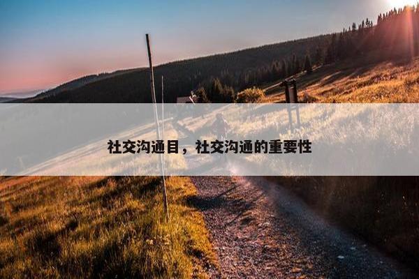 社交沟通目，社交沟通的重要性