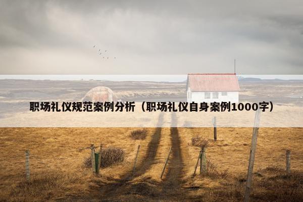 职场礼仪规范案例分析（职场礼仪自身案例1000字）