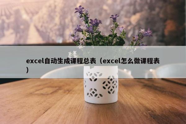 excel自动生成课程总表（excel怎么做课程表）