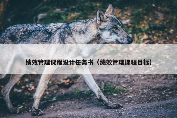 绩效管理课程设计任务书（绩效管理课程目标）