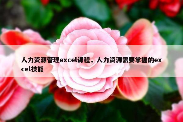 人力资源管理excel课程，人力资源需要掌握的excel技能