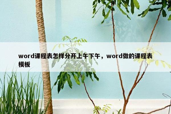 word课程表怎样分开上午下午，word做的课程表模板