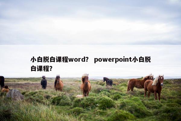 小白脱白课程word？ powerpoint小白脱白课程？