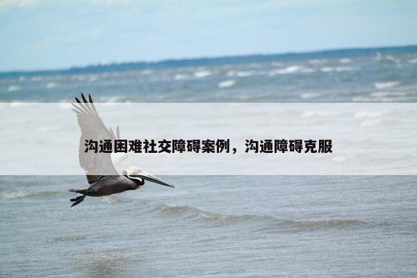 沟通困难社交障碍案例，沟通障碍克服