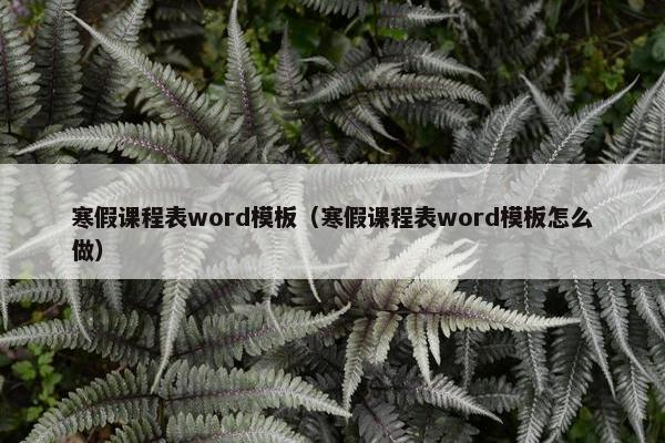 寒假课程表word模板（寒假课程表word模板怎么做）