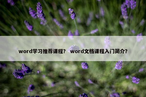 word学习推荐课程？ word文档课程入门简介？