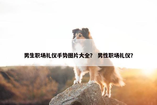 男生职场礼仪手势图片大全？ 男性职场礼仪？