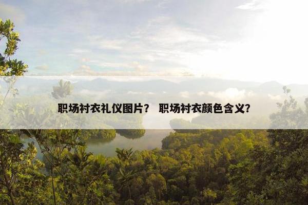 职场衬衣礼仪图片？ 职场衬衣颜色含义？