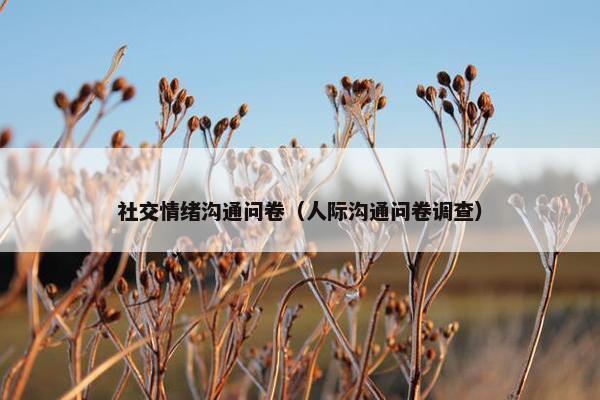 社交情绪沟通问卷（人际沟通问卷调查）