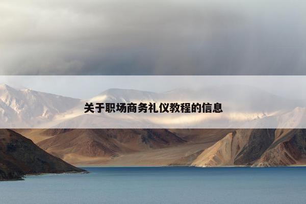 关于职场商务礼仪教程的信息