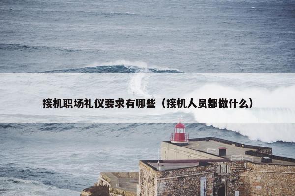 接机职场礼仪要求有哪些（接机人员都做什么）
