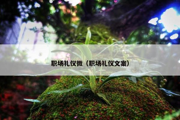 职场礼仪微（职场礼仪文案）