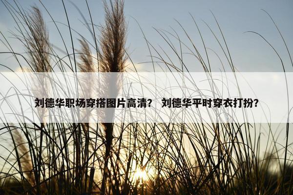 刘德华职场穿搭图片高清？ 刘德华平时穿衣打扮？