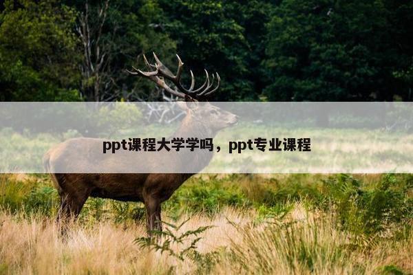 ppt课程大学学吗，ppt专业课程