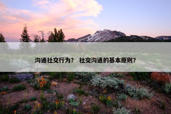 沟通社交行为？ 社交沟通的基本原则？