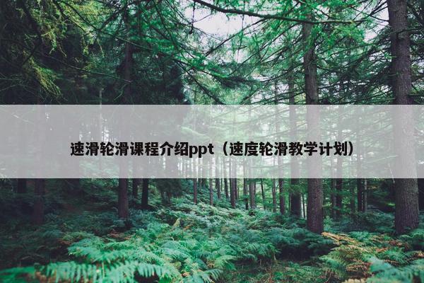 速滑轮滑课程介绍ppt（速度轮滑教学计划）
