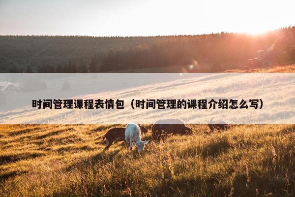 时间管理课程表情包（时间管理的课程介绍怎么写）