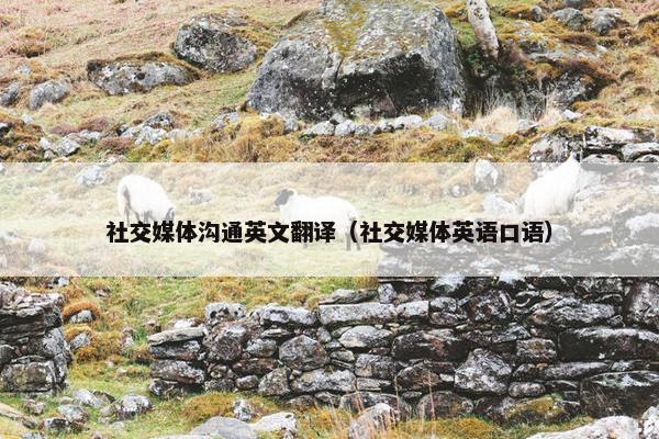 社交媒体沟通英文翻译（社交媒体英语口语）