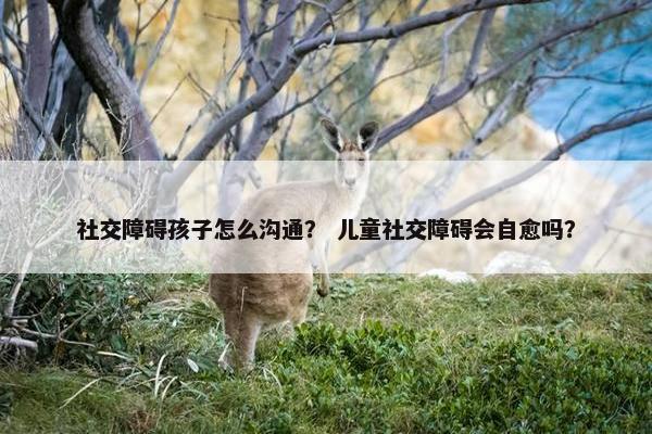 社交障碍孩子怎么沟通？ 儿童社交障碍会自愈吗？