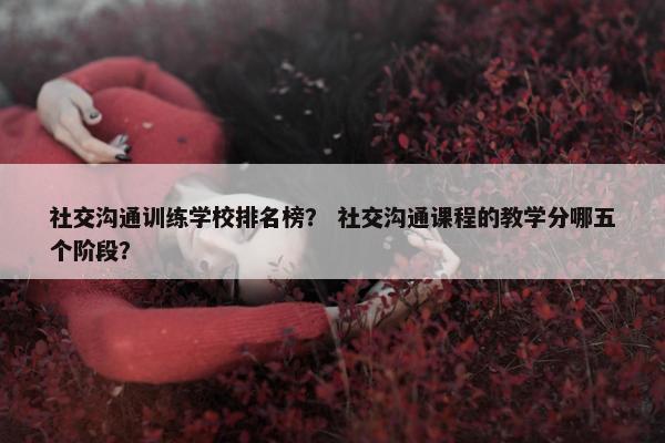 社交沟通训练学校排名榜？ 社交沟通课程的教学分哪五个阶段？