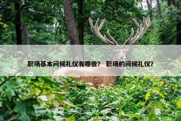 职场基本问候礼仪有哪些？ 职场的问候礼仪？