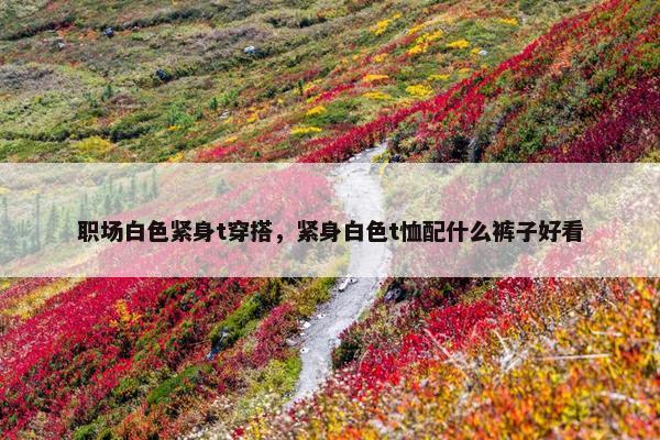 职场白色紧身t穿搭，紧身白色t恤配什么裤子好看