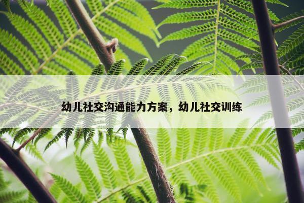 幼儿社交沟通能力方案，幼儿社交训练