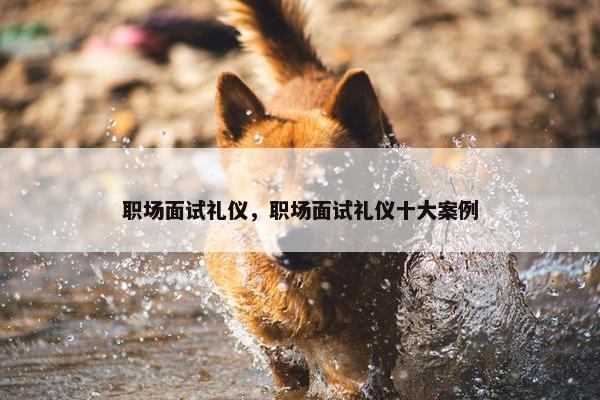 职场面试礼仪，职场面试礼仪十大案例