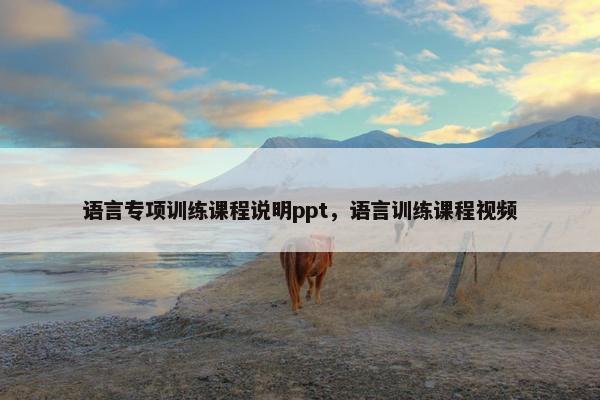 语言专项训练课程说明ppt，语言训练课程视频