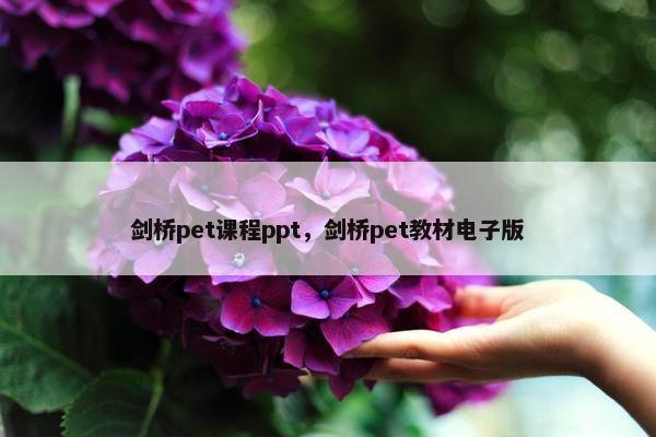 剑桥pet课程ppt，剑桥pet教材电子版