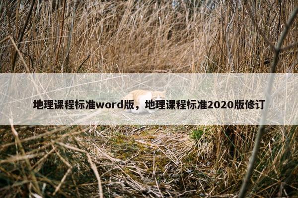 地理课程标准word版，地理课程标准2020版修订