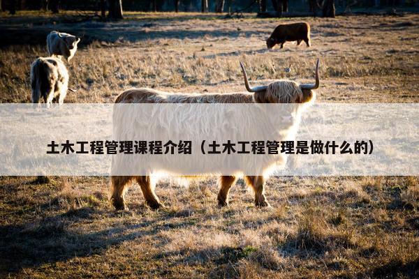 土木工程管理课程介绍（土木工程管理是做什么的）