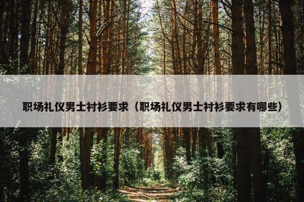 职场礼仪男士衬衫要求（职场礼仪男士衬衫要求有哪些）