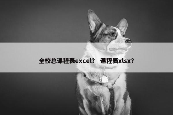全校总课程表excel？ 课程表xlsx？