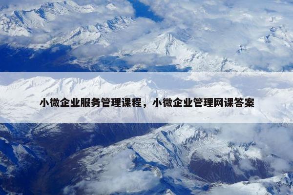 小微企业服务管理课程，小微企业管理网课答案