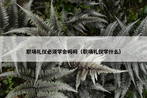 职场礼仪必须学会吗吗（职场礼仪学什么）
