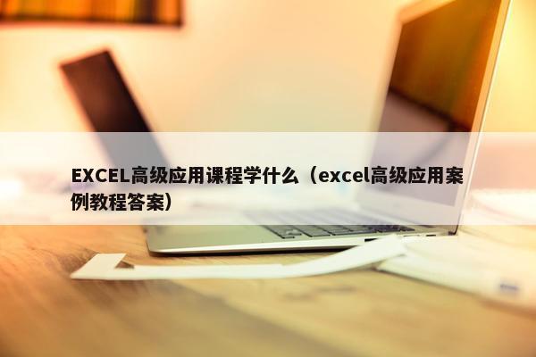 EXCEL高级应用课程学什么（excel高级应用案例教程答案）