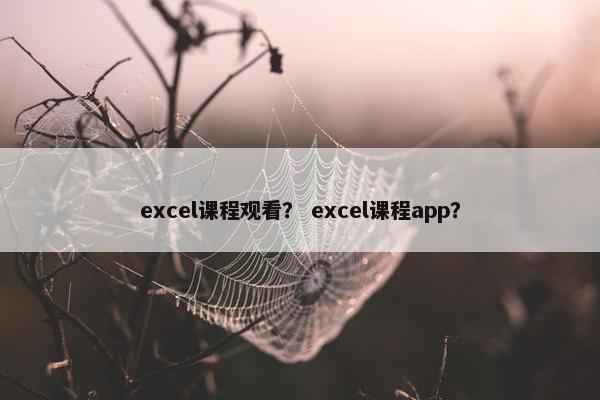 excel课程观看？ excel课程app？