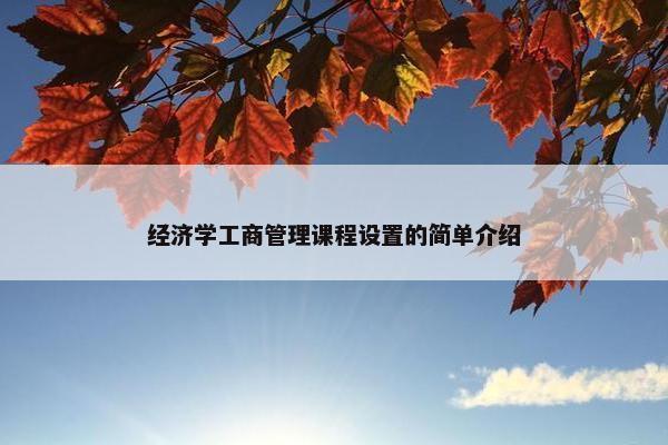 经济学工商管理课程设置的简单介绍