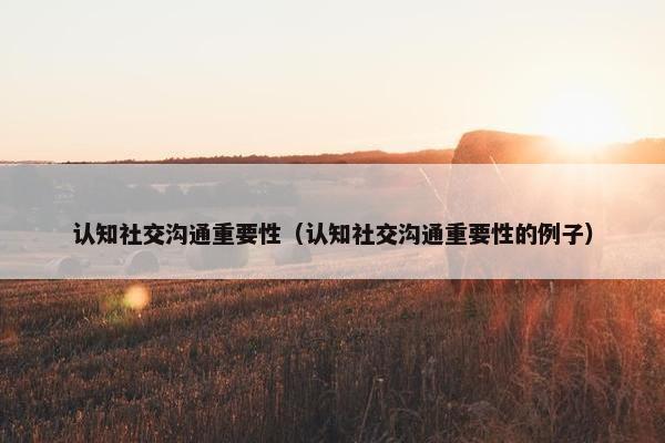认知社交沟通重要性（认知社交沟通重要性的例子）